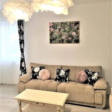 23 * Braşov